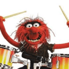 Animal (Muppets)