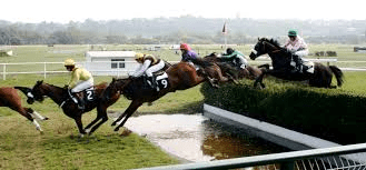 steeple chase2jpg