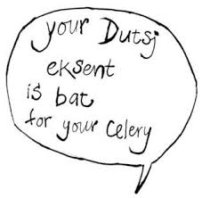 misverstanden Engels Nederlands