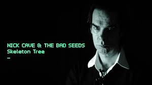 hoes Skeleton Tree van Nick Cave