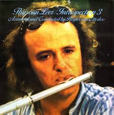 Thijs van Leer Introspection