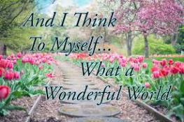 citaat uit What A Wonderful World